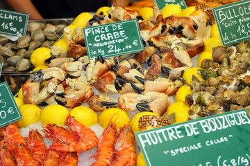Pinces de Crabe