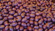 Olives violettes