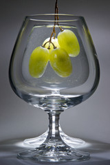 Grape in glass