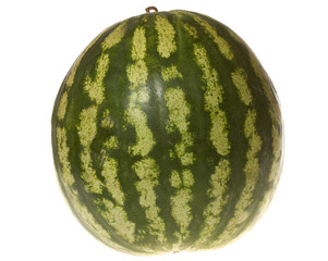 melon