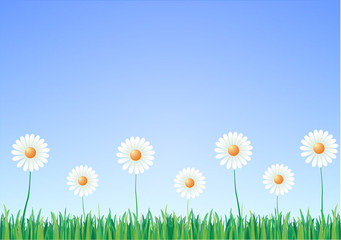 Hierba Flores