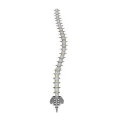 lumbar scoliosis