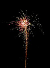 celebration firework