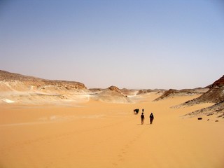 Obraz na płótnie Canvas in the desert