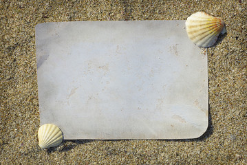 Old paper and seashells