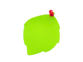 Stick in the form of a green leaf with a button on a white