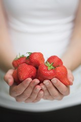 Hands holding freshly picked strawberries