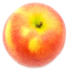 wet apple on white background