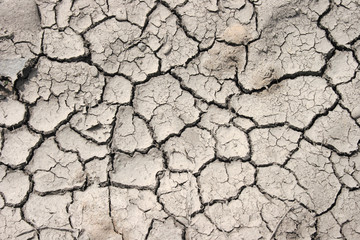 cracked ground