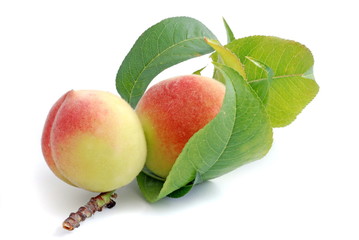 peaches