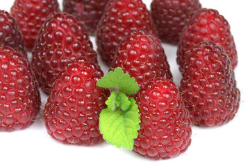 Raspberries