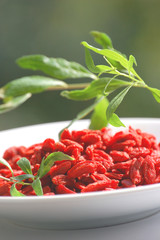 Goji
