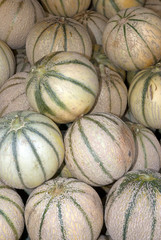 Melons