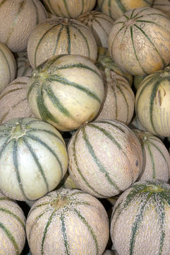 Melons
