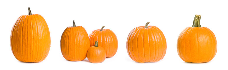 Collection of Pumpkins Isolated on White - Powered by Adobe