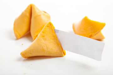 Blank Chinese fortune cookies