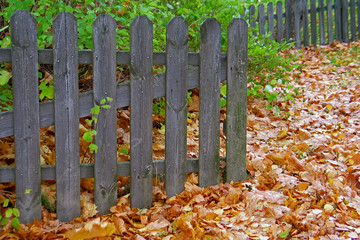 Naklejka premium Fence