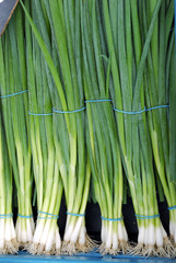 Vegetable, spring onion
