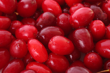 cranberries background