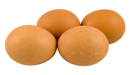 four chicken eggs isolated on white background