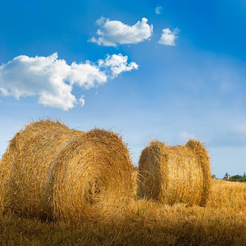 image d'un paysage rural balots de foins en campagne