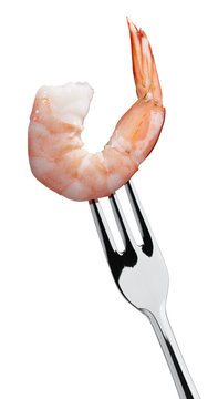 shrimp on fork