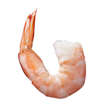 shrimp