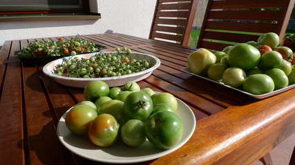 Green tomatos