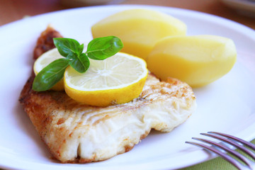 pangasiusfilet, gebratener fisch