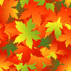 Naklejka na ściany i meble Bright autumnal leaf background