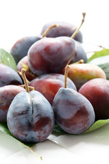 Plums on a white background.