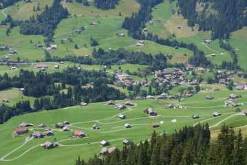 Obraz premium SONY DSC