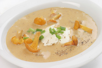 Cream of Chanterelle Soup