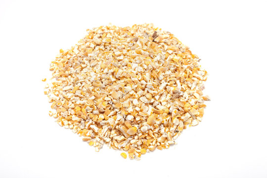 aliment pour animaux