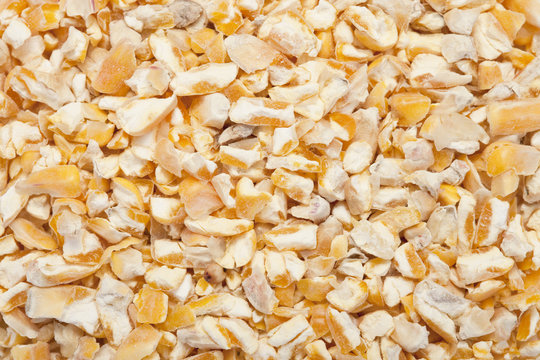 aliment pour animaux