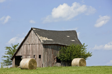 Fototapeta na wymiar Rolled bales of hay on a farm