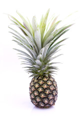 Fototapeta premium Pineapple on a white background