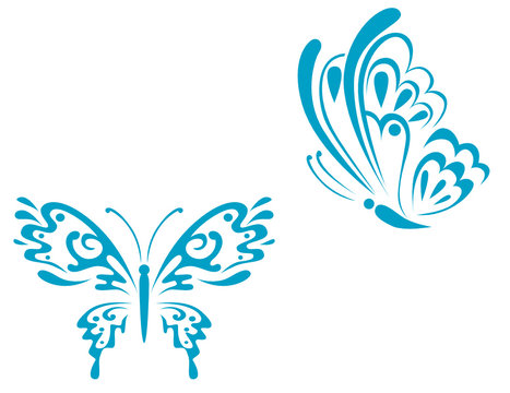 Isolated tattoos of butterfly on white background