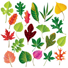 Vector Leaf Collection - 16500835