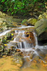 Fototapeta premium waterfall is beautiful