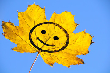 Obraz premium smile on the leaf-1
