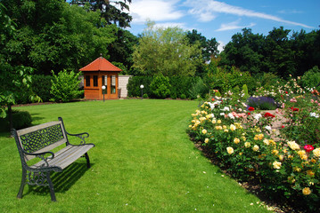 Garden with roses