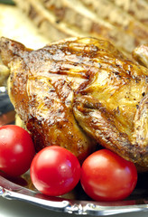 Pollo