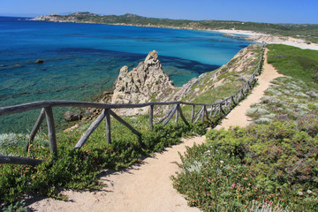 Trail in the wilderness