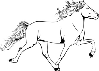Icelandichorse - Toelt