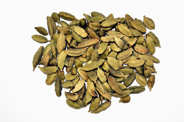 Kardamom (Elettaria cardamomum)