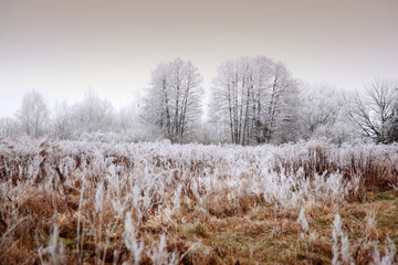 Winterlandschaft Oderbruch