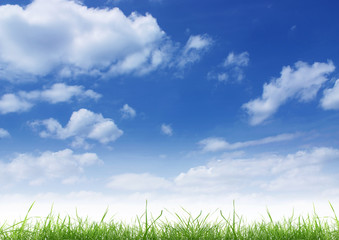 Fototapeta na wymiar blue sky and green grass.