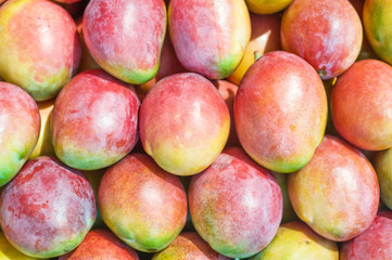 background with mango