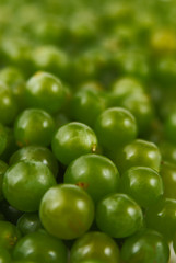 grapes background